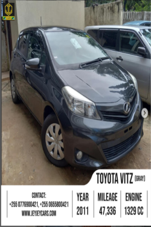 Vitz Grey